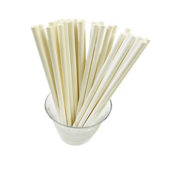 Amatraa Disposable 10mm Paper Straw pack of 100
